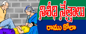 Niseedhi netralu